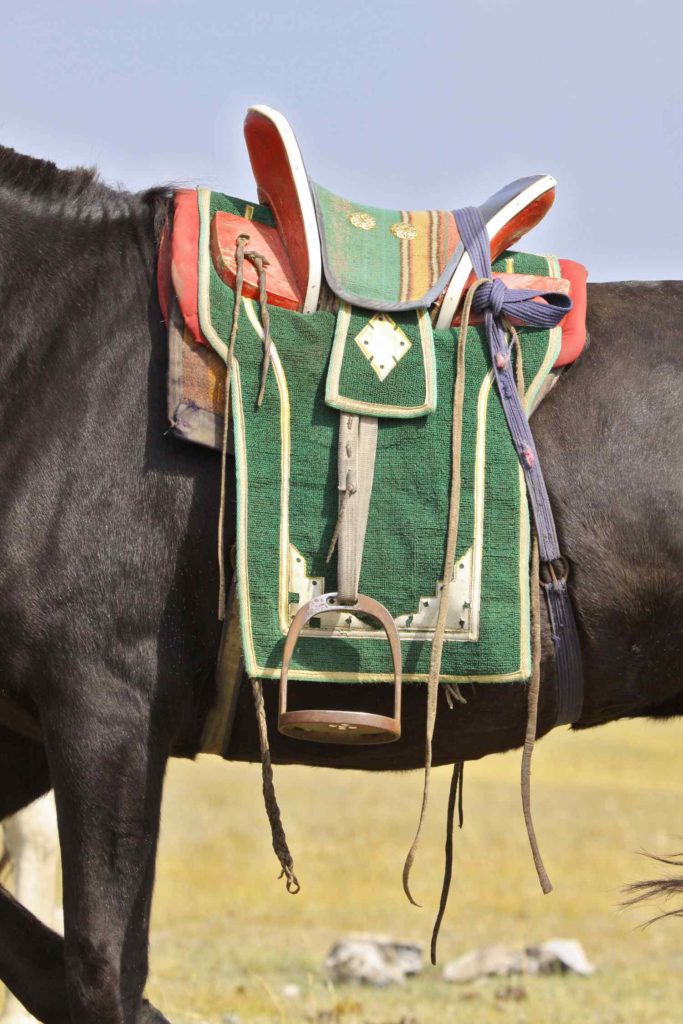 saddle