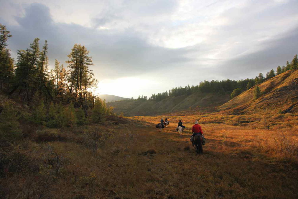 mongolia-packhorse