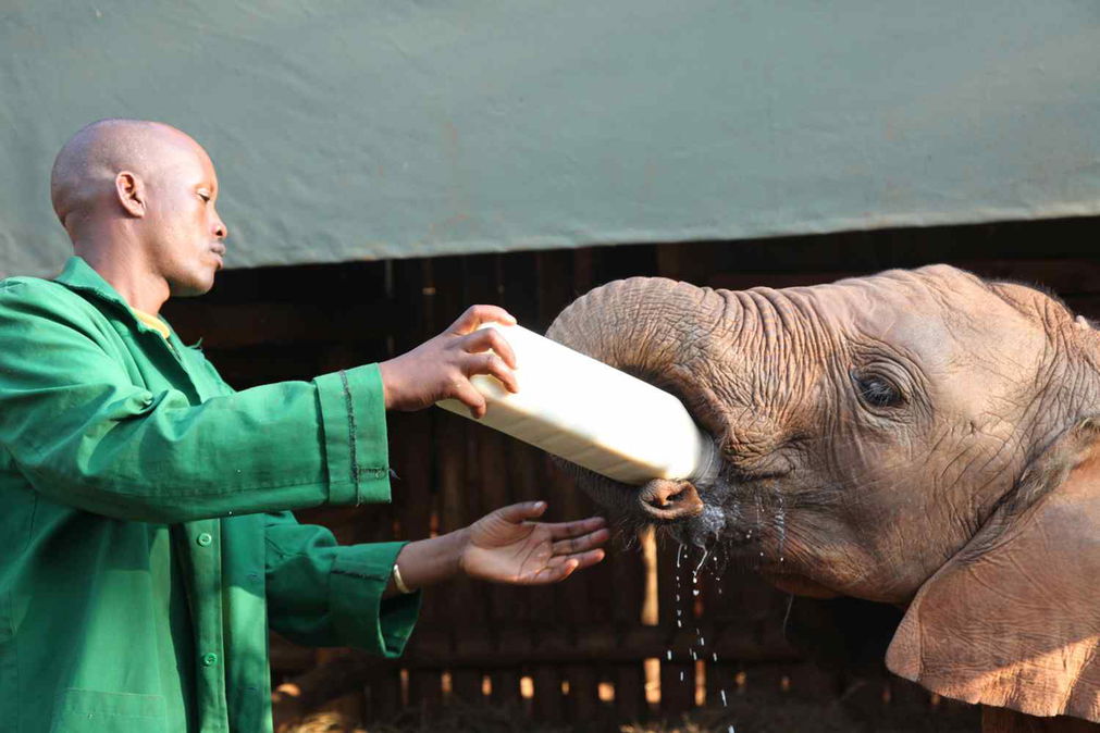masai-mara.guided.august-(19)