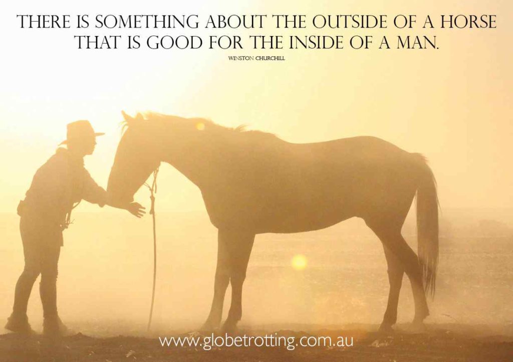 outside of a horse