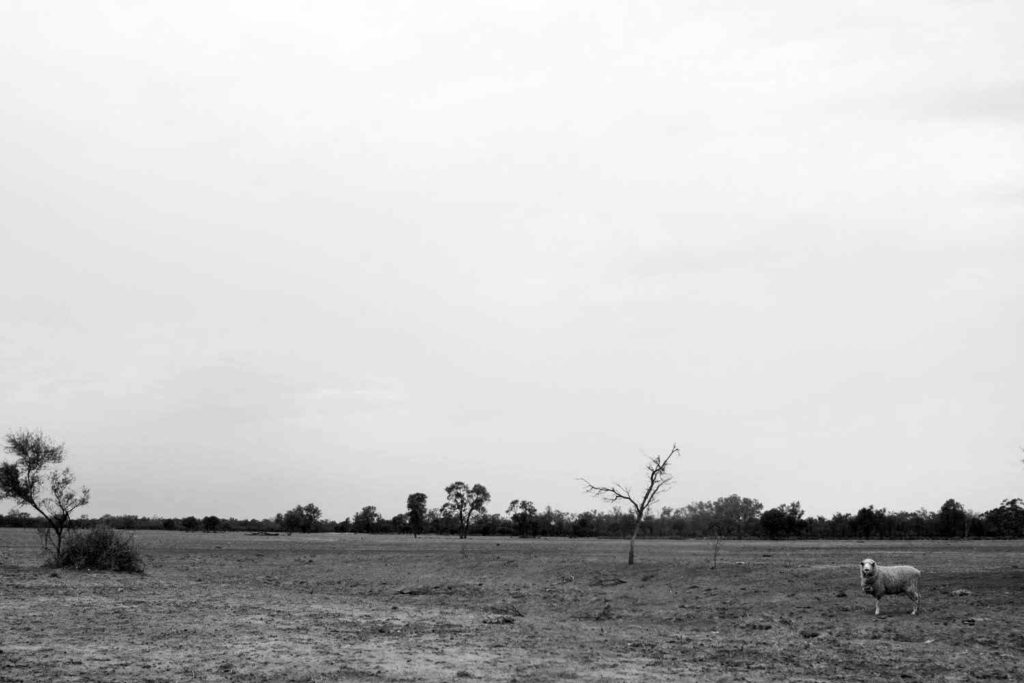 IMG_2620 copy
