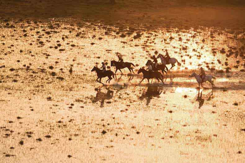 horse riding safari okavango delta