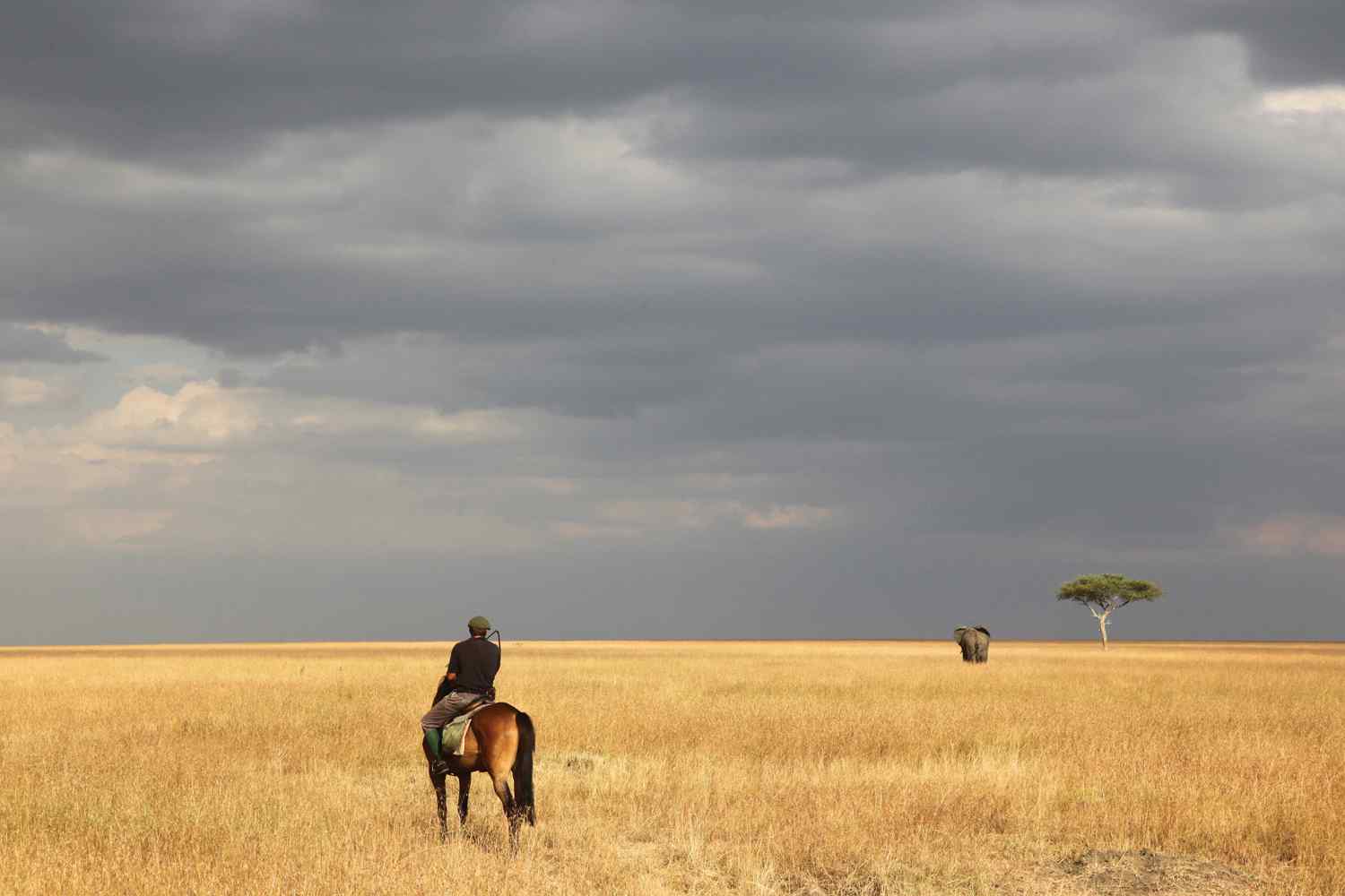 Horse riding holiday Kenya