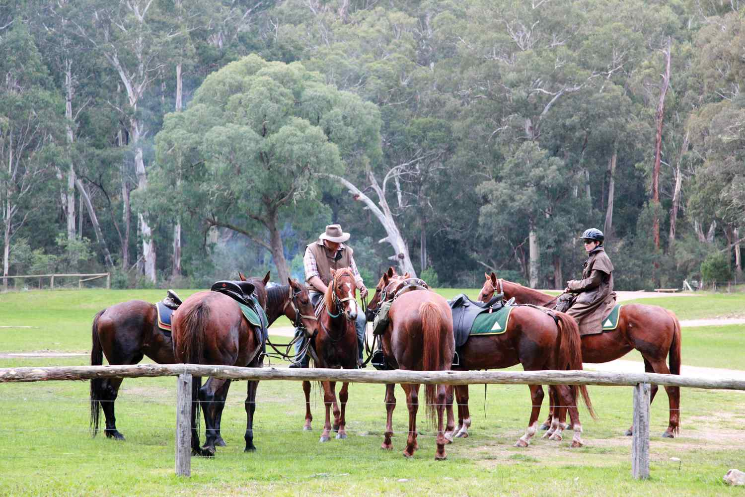 Man from Snowy River horse riding holiday