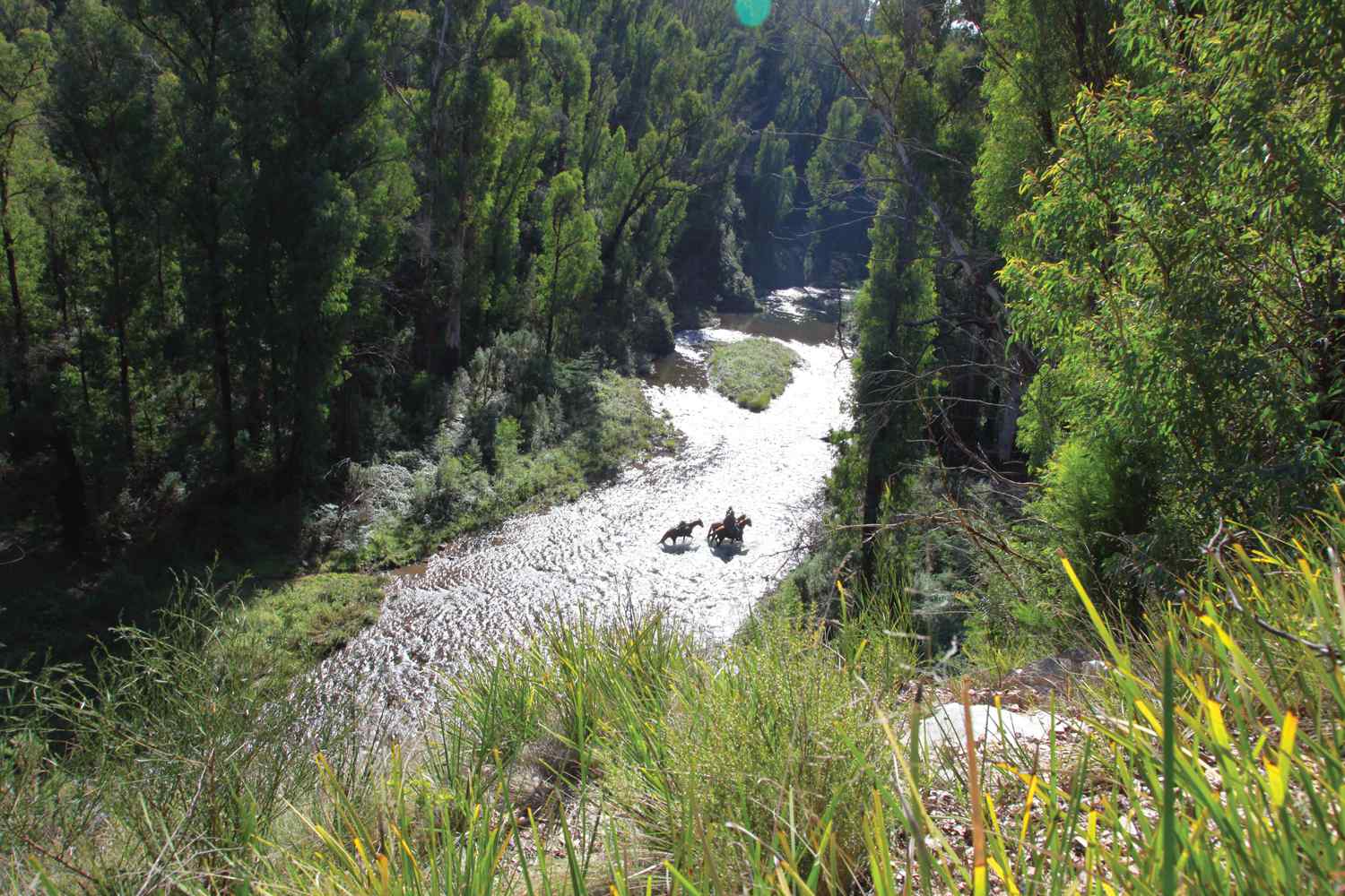 Man from Snowy River horse riding holiday