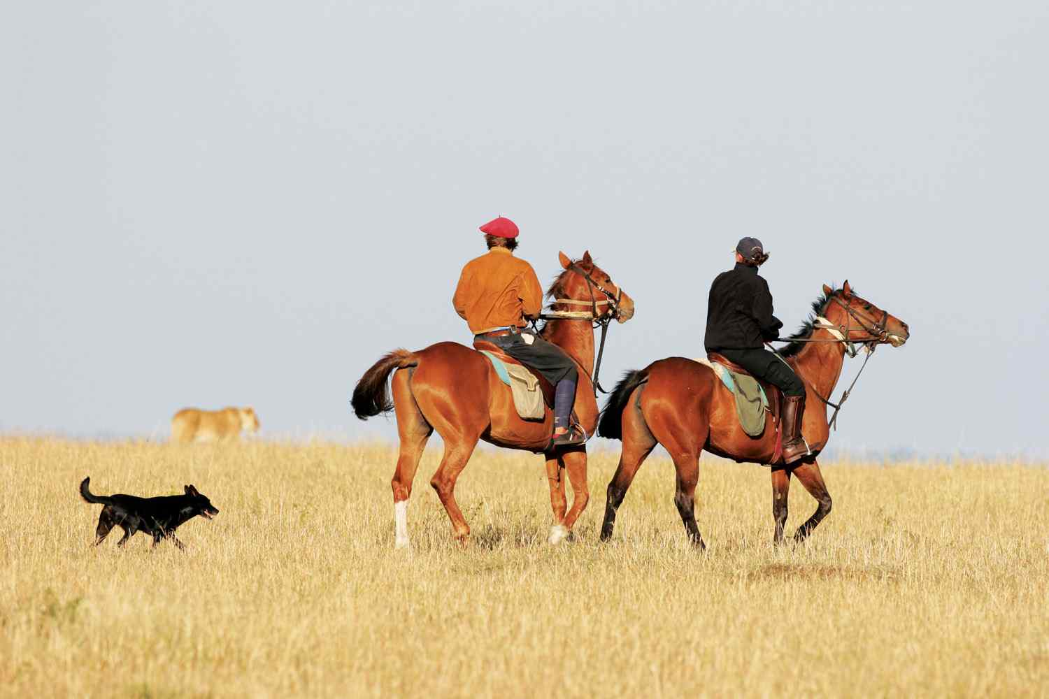 Horse riding holiday Kenya
