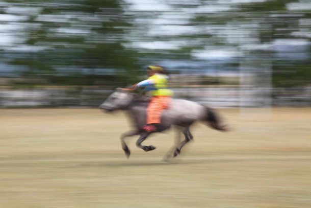 horse riding holiday mongolia