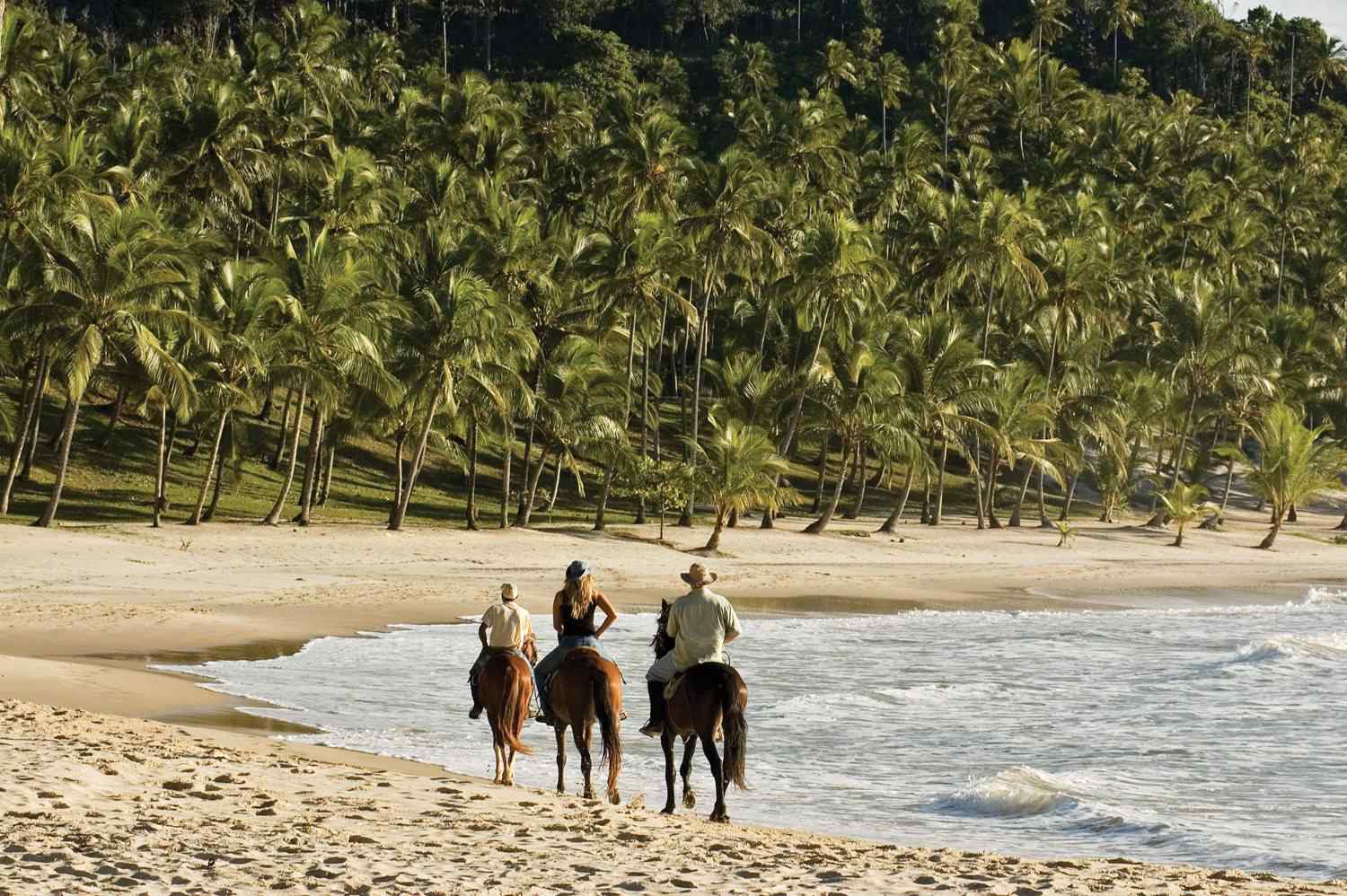 beach horse riding holiday brazil