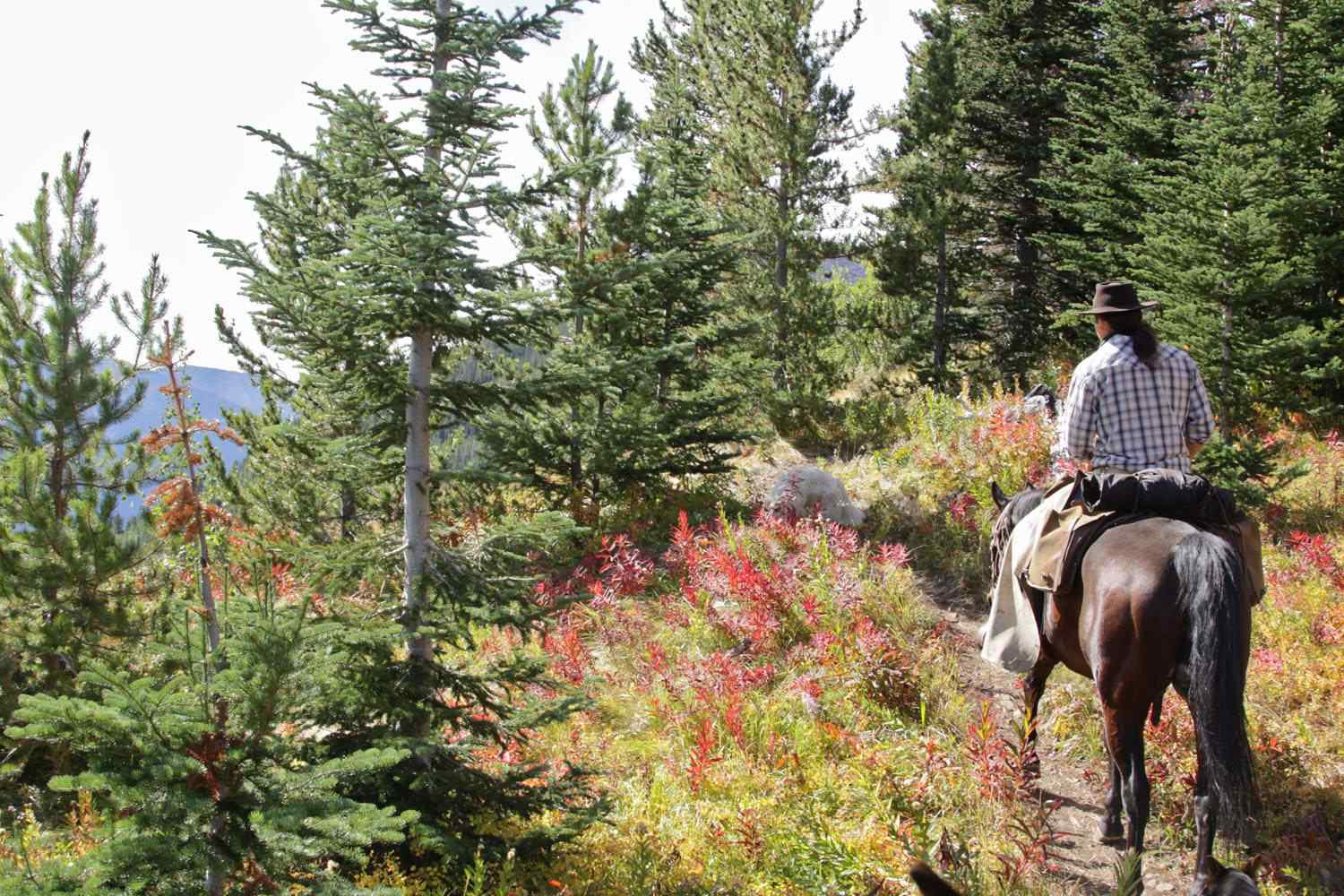 horse riding trek canada