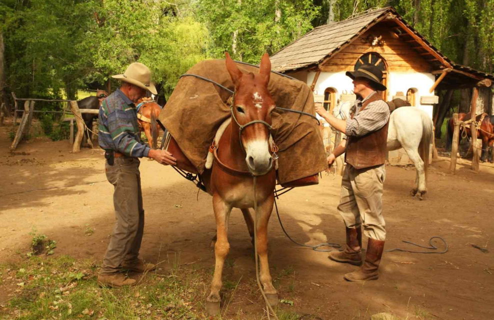 guided horse riding holiday argentina