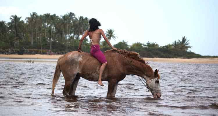beach horse riding holiday brazil