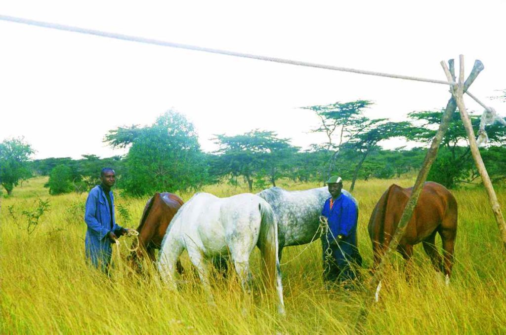 horse riding safari kenya