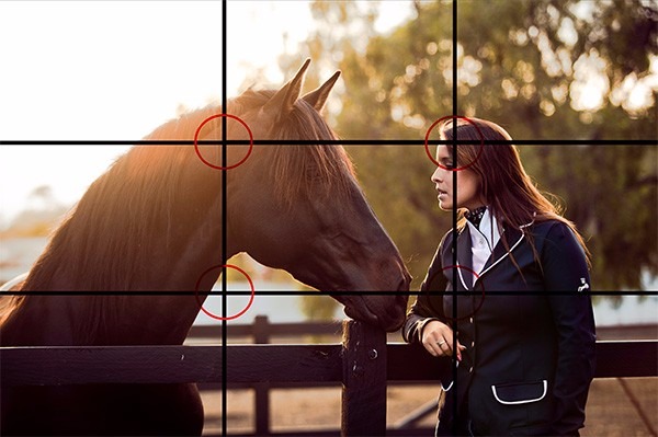 horse riding photography grid